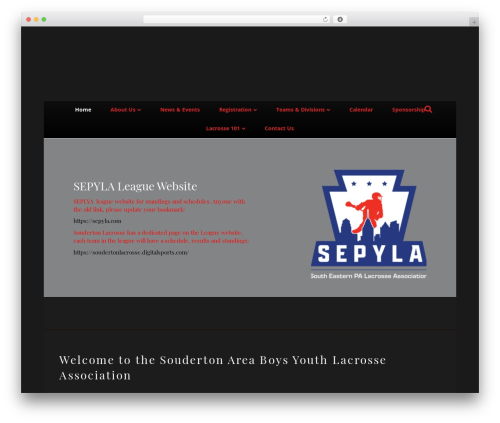 Teamsnap_wordpress WordPress plugin - soudertonlacrosse.com