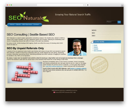Best WordPress theme Arclite - seo-naturale.com
