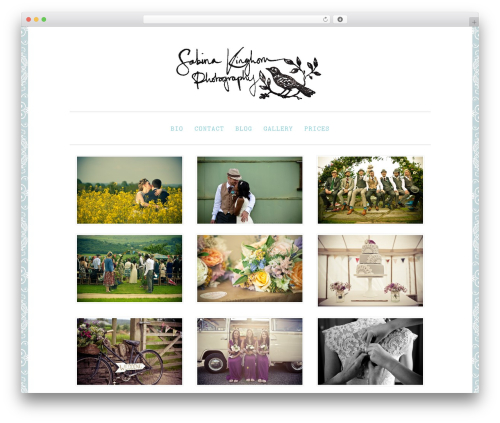 Best WordPress theme Penscratch - sabinakinghorn.com
