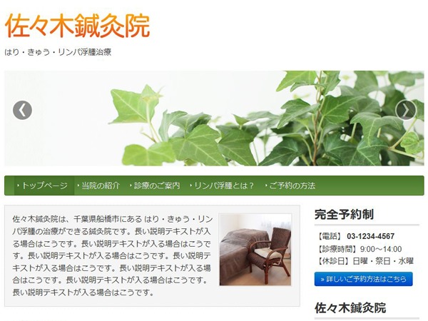 BirdTHERAPY WordPress blog theme by Sysbird