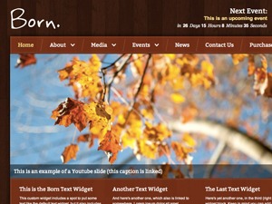 Born WP theme by Justin Scheetz