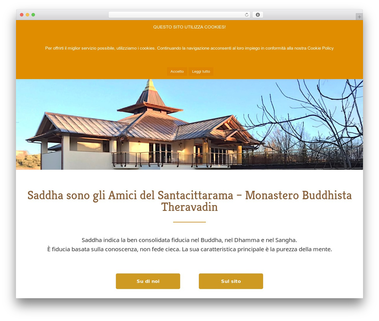 Genesis WordPress theme - saddha.it