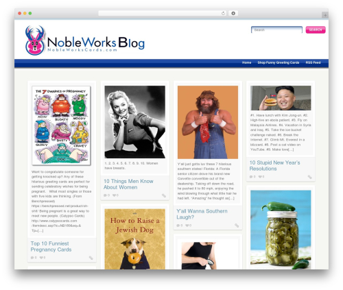 Pinfinity WordPress blog theme - site.nobleworkscards.com