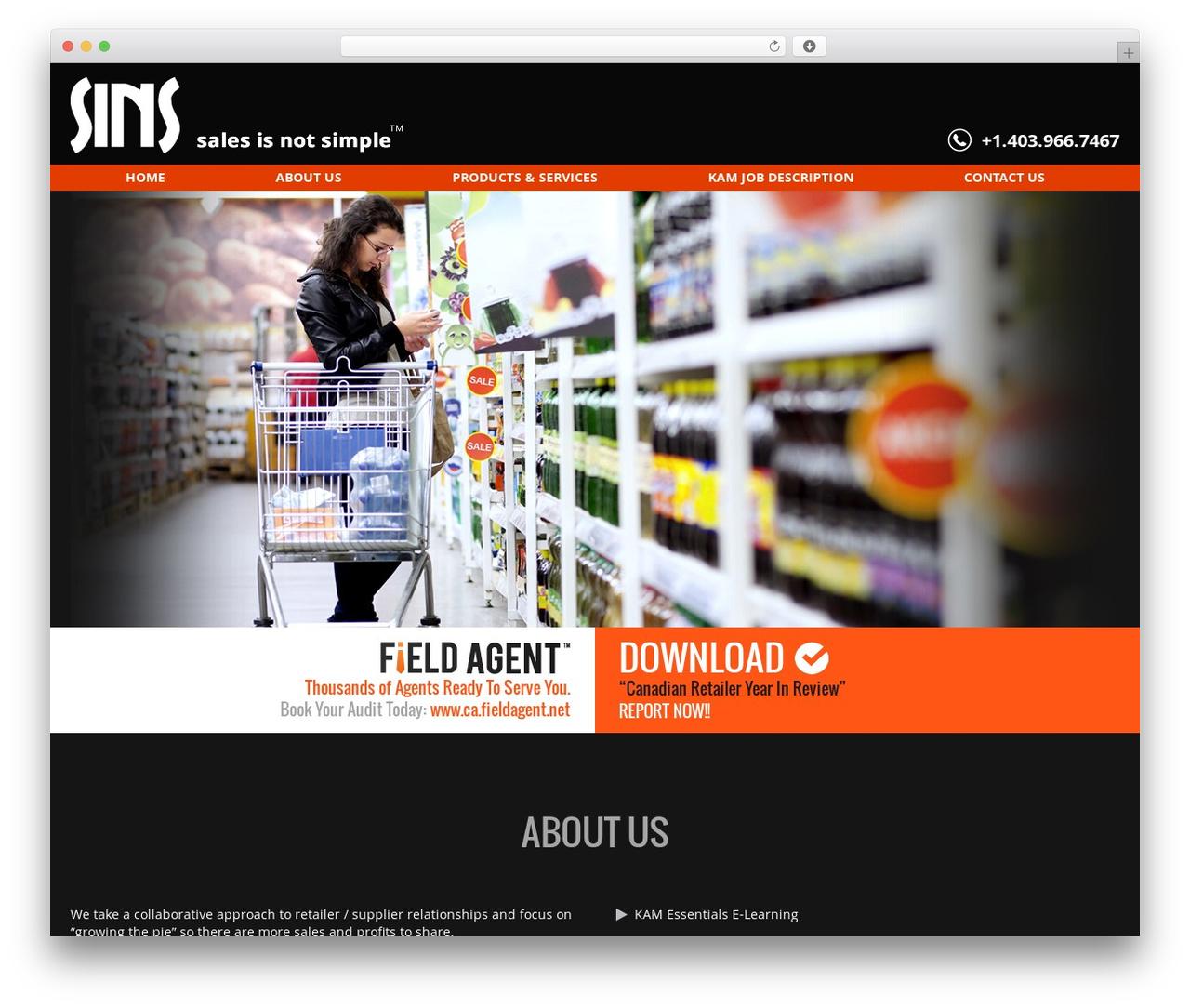 SINS WordPress theme design - salesisnotsimple.com SINS WordPress theme design - salesisnotsimple.com
