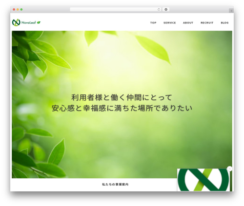Ruijinen block patterns WordPress plugin - novaleaf.net