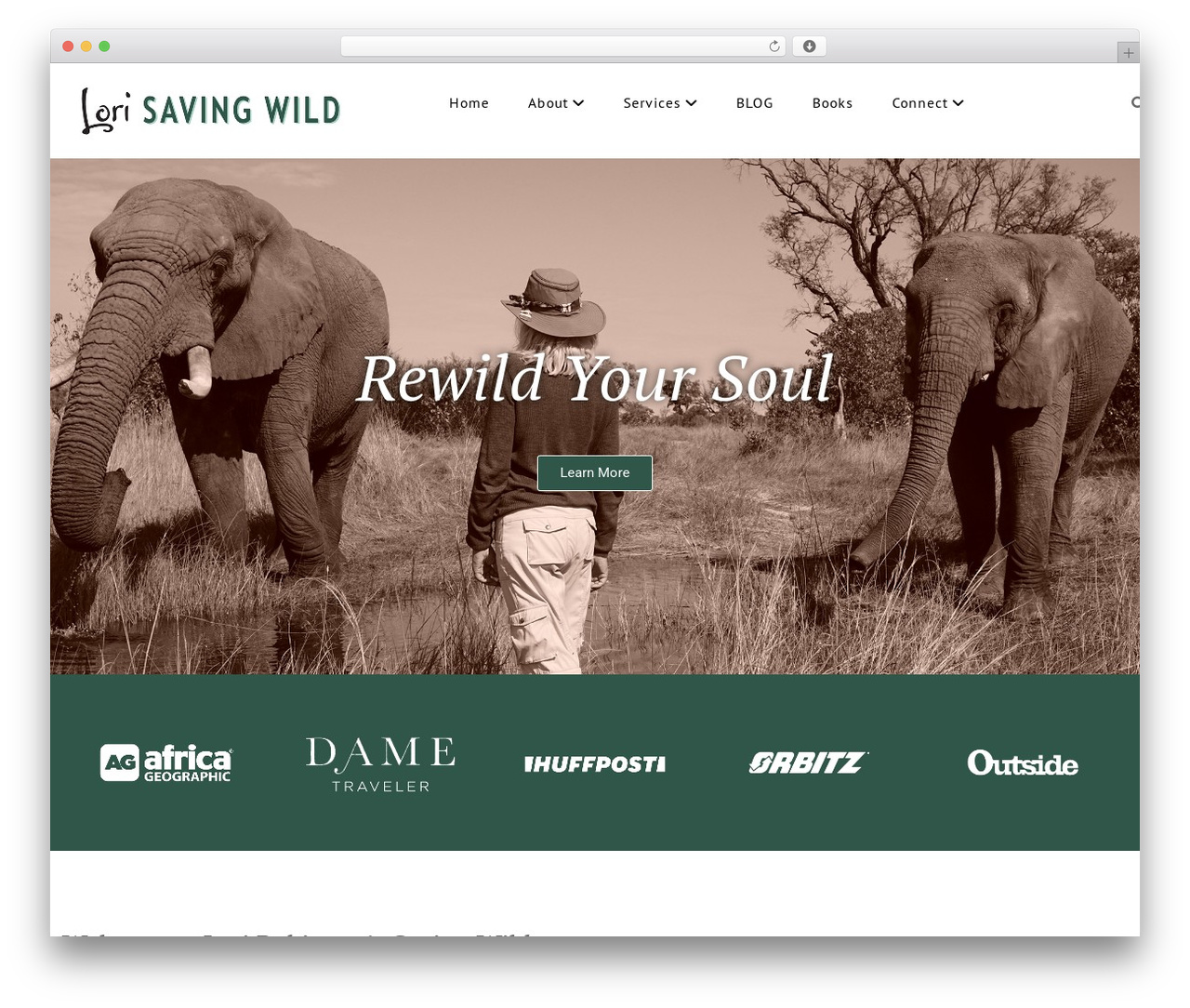 Theme WordPress Flare Pro - savingwild.com