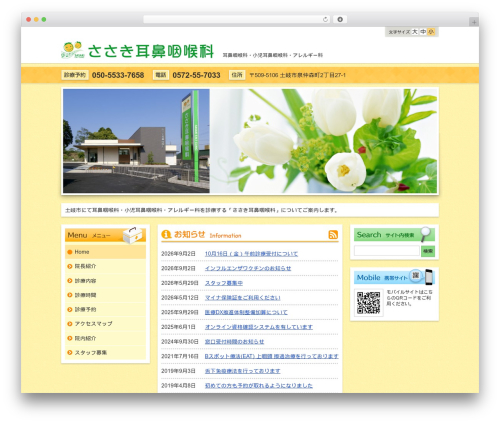 Ns theme WordPress plugin - sasaki-ent-cl.com