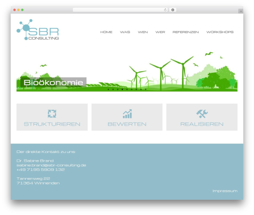 Cyclone slider pro WordPress plugin - sbr-consulting.de