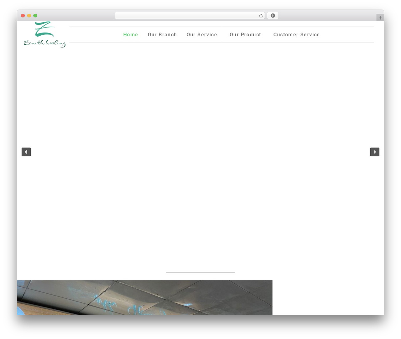 WordPress theme DesignStudio - zenithhealing.com WordPress theme DesignStudio - zenithhealing.com