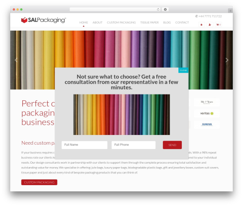 WordPress theme H5 - salpackaging.com
