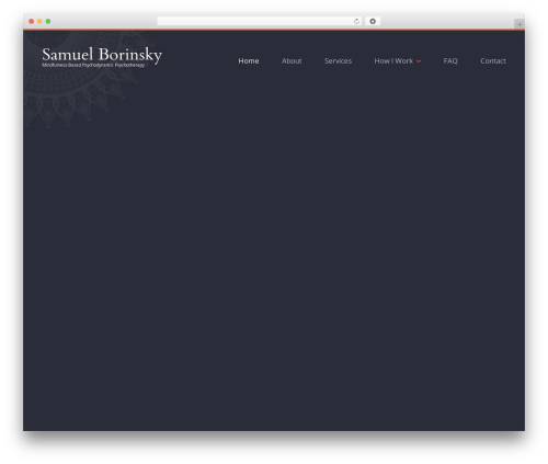 WP theme Samuel Borinsky - samuelborinsky.com