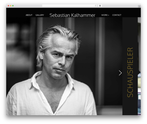 Acid WordPress theme design - sebastian-kalhammer.de