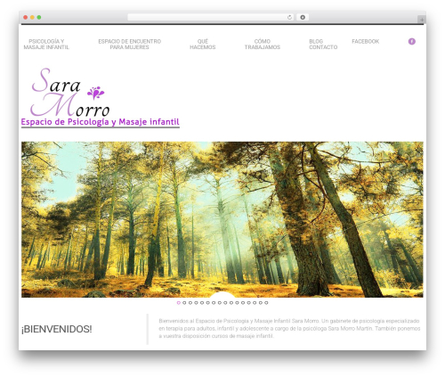 cherry WordPress website theme - saramorro.com
