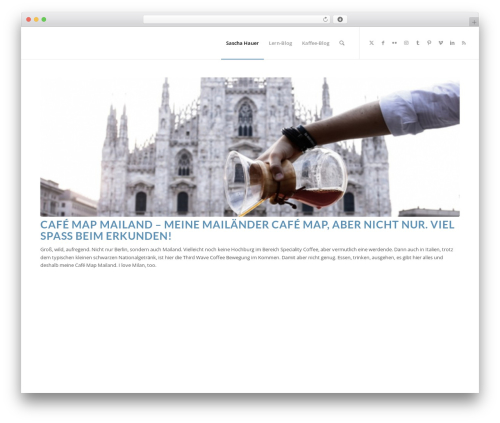 Arrow Custom Feed for Twitter (arrow-twitter-feed) free WordPress plugin - sascha-hauer.de