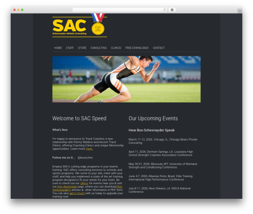 Head WP theme - sacspeed.com/wp