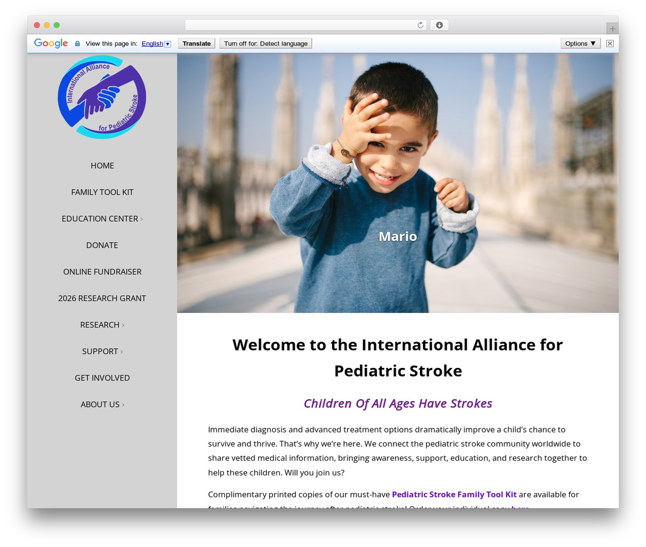 Optimizer PRO WordPress theme design - iapediatricstroke.org