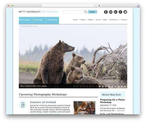 Roots WordPress theme - sederquist.com