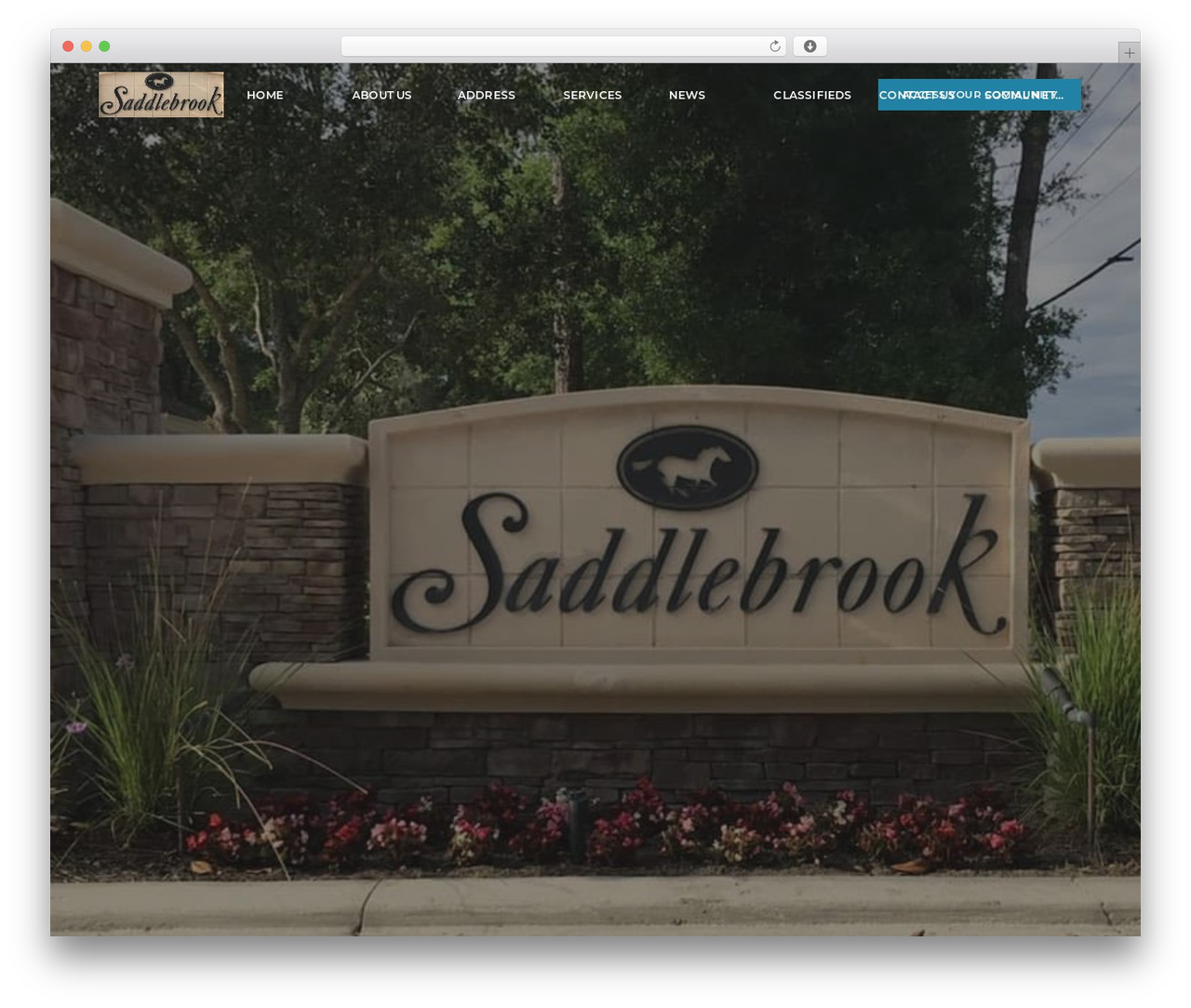 Solid Metal WordPress theme design - saddlebrookdeland.com
