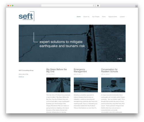 Theme WordPress Craft - seftconsulting.com