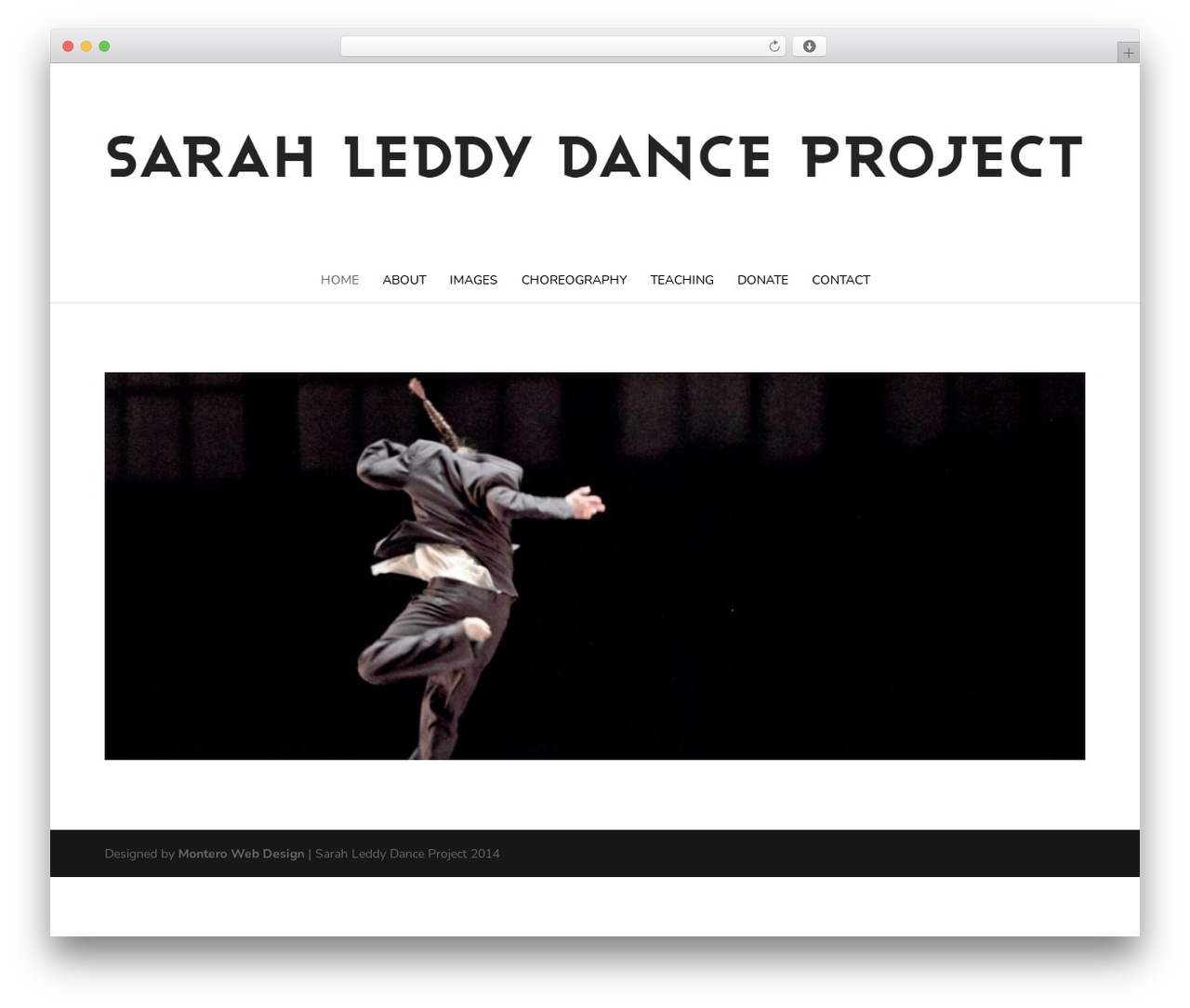 Theme WordPress Divi - sarahleddydanceproject.com