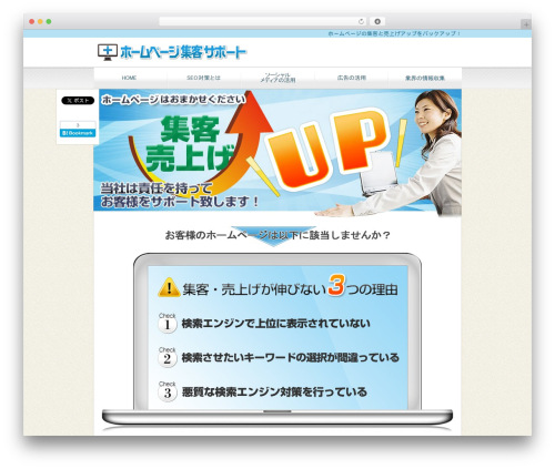WordPress theme Attract customers support - seo-service.biz