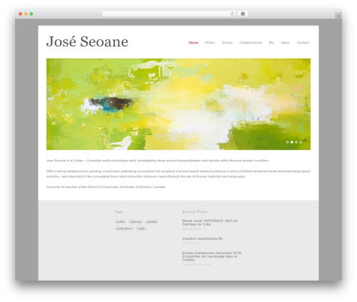 WordPress theme Craft - seoanestudio.com