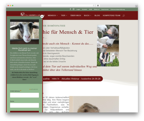 Dsgvo pixelmate premium WordPress plugin - mensch-tier.de