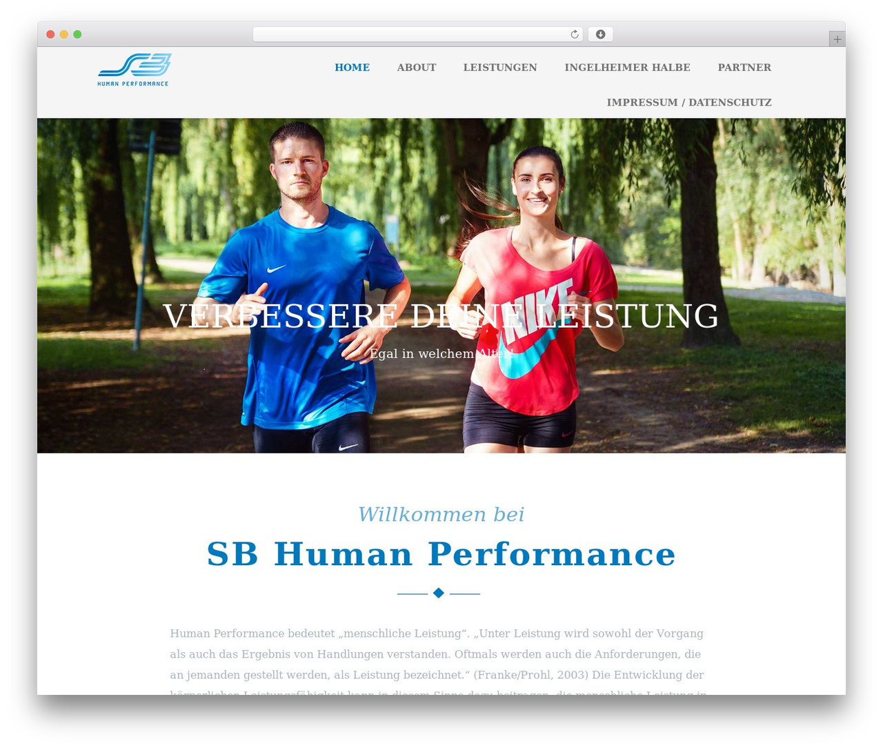 WordPress theme Optimizer PRO - sb-hp.net WordPress theme Optimizer PRO - sb-hp.net