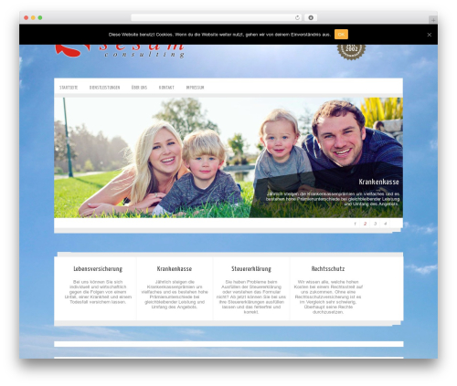 WordPress theme Zenon Lite - sesamconsulting.ch