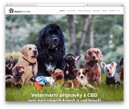 WordPress website theme Divi - cbdpropsa.cz