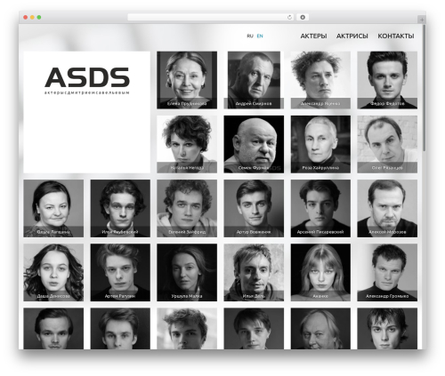 WP theme ASDS - savelyev.guru
