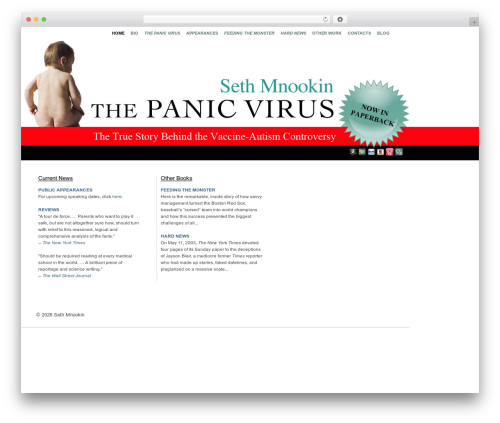 Best WordPress theme eBook - sethmnookin.com