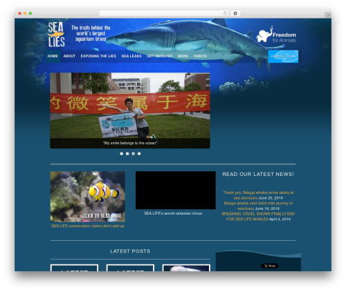 Campaign WP theme - sea-lies.org.uk