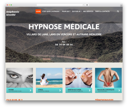 cherry best WordPress theme - les-ateliers-du-changement.com