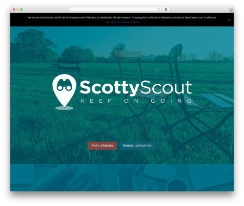 Divi theme WordPress - scottyscout.com
