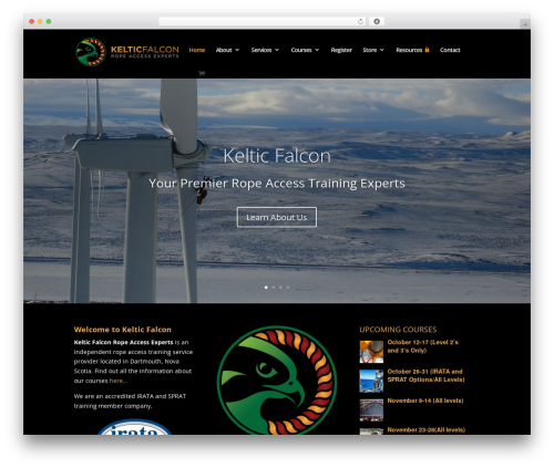 Divi WordPress theme - kelticfalcon.com