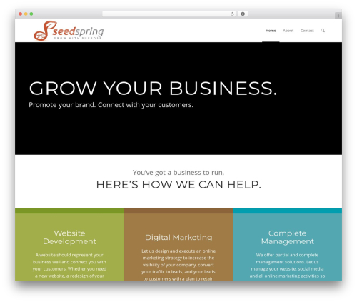 Enfold WordPress theme - seedspring.media