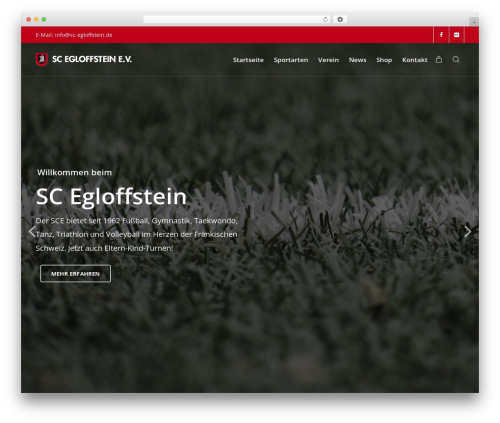 Engage gym WordPress theme - sc-egloffstein.de