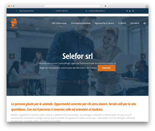 Gaap WordPress theme - selefor.com