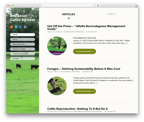 Pippity WordPress plugin - secattleadvisor.com