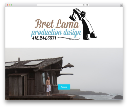 Pl section impulse WordPress plugin - sepiatone.com