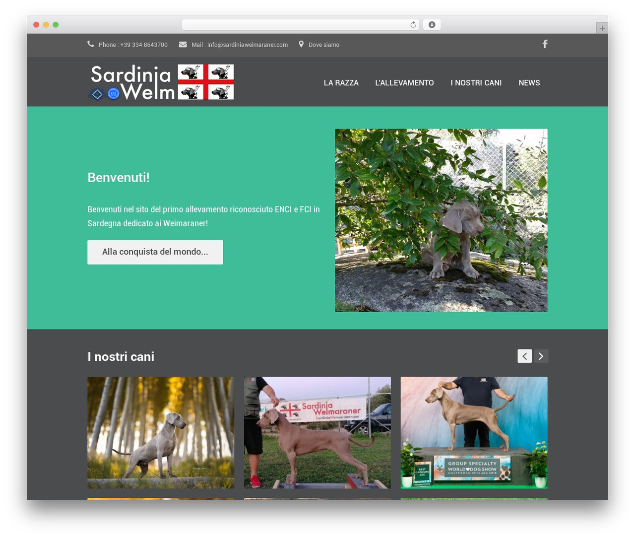Simple Wordpress Theme WP theme - sardiniaweimaraner.com Simple Wordpress Theme WP theme - sardiniaweimaraner.com