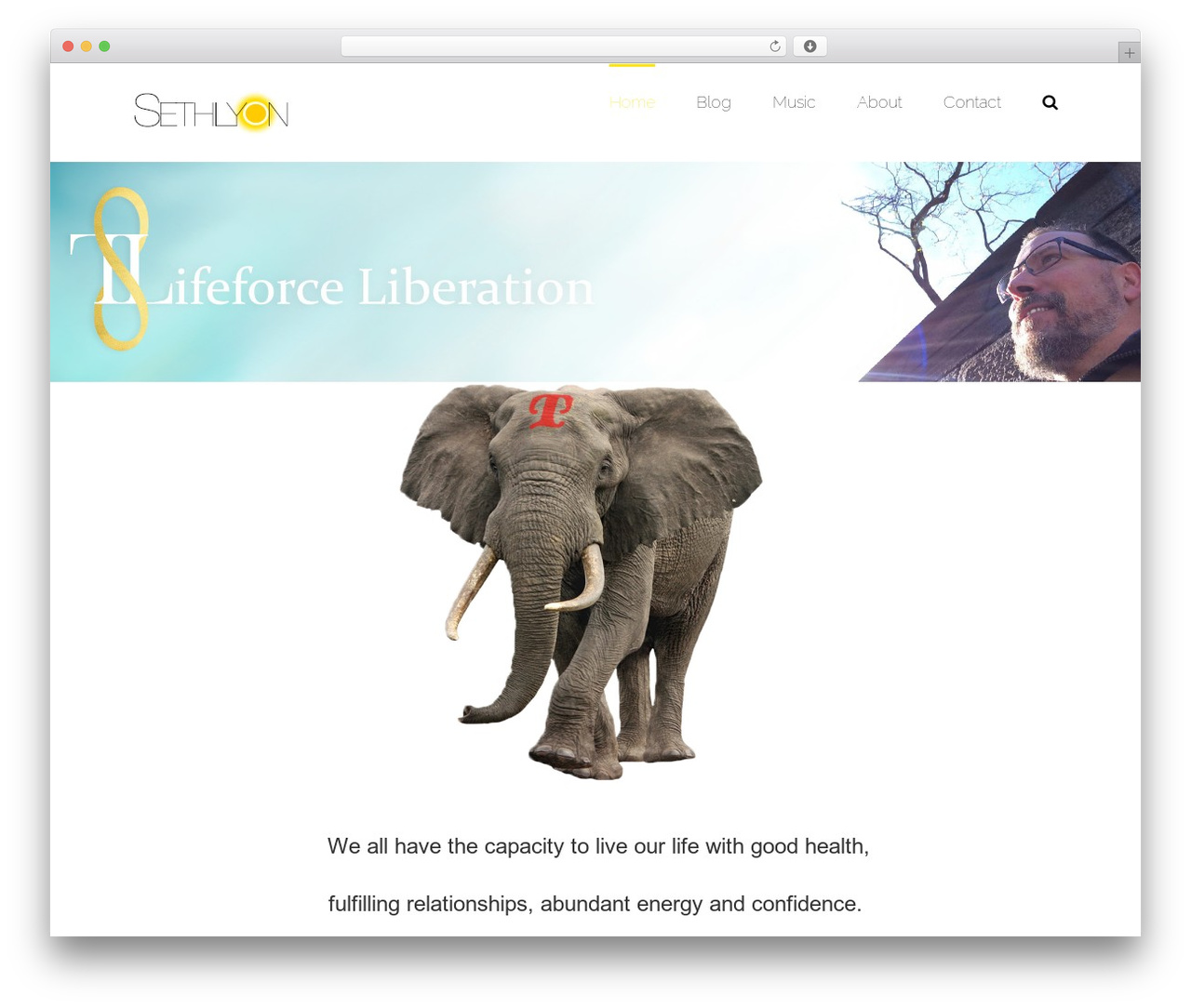 WordPress theme Avada - sethlyon.com