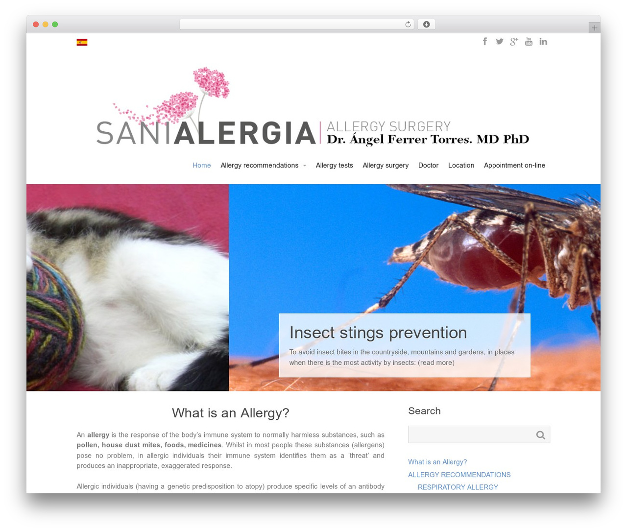 WordPress theme Intuition - sanialergia.com WordPress theme Intuition - sanialergia.com
