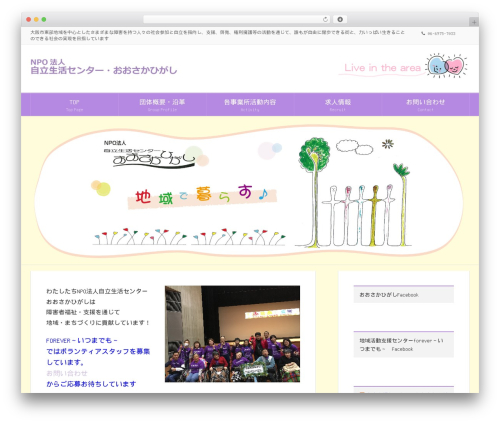 Lightning skin variety WordPress plugin - osaka-higashi.com