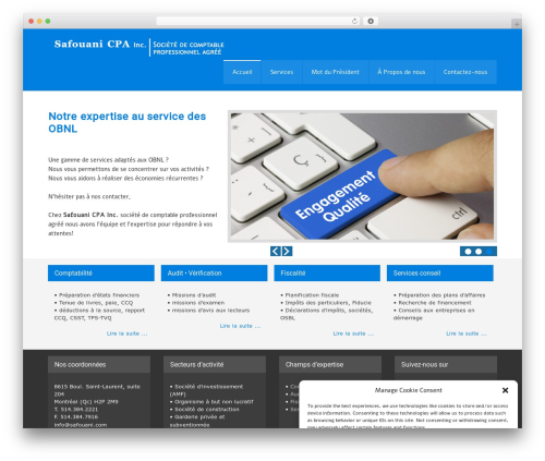 WordPress theme zeeVisionPro - safouani.com