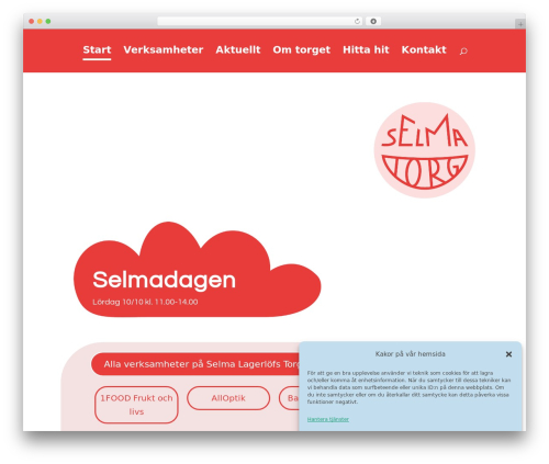 Divi accessibility 2.0.5 WordPress plugin - selmalagerlofstorg.se