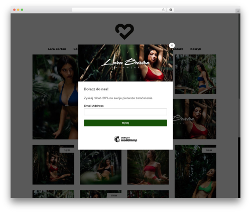 Bazaar WP theme - larabarton.com