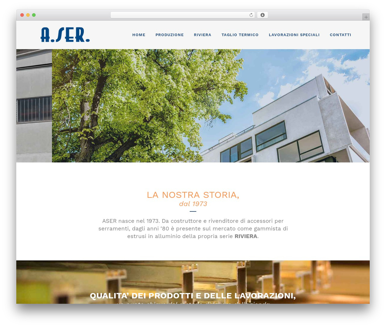 Bridge WordPress theme - asergenova.com
