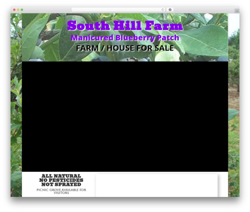 RPS Blog Info (rps-blog-info) free WordPress plugin - southhillfarm.com RPS Blog Info (rps-blog-info) free WordPress plugin - southhillfarm.com
